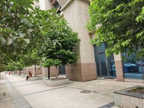 IMG_3071(20200910-094121)