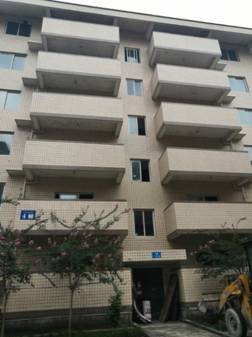 IMG_2024(20200714-153322)